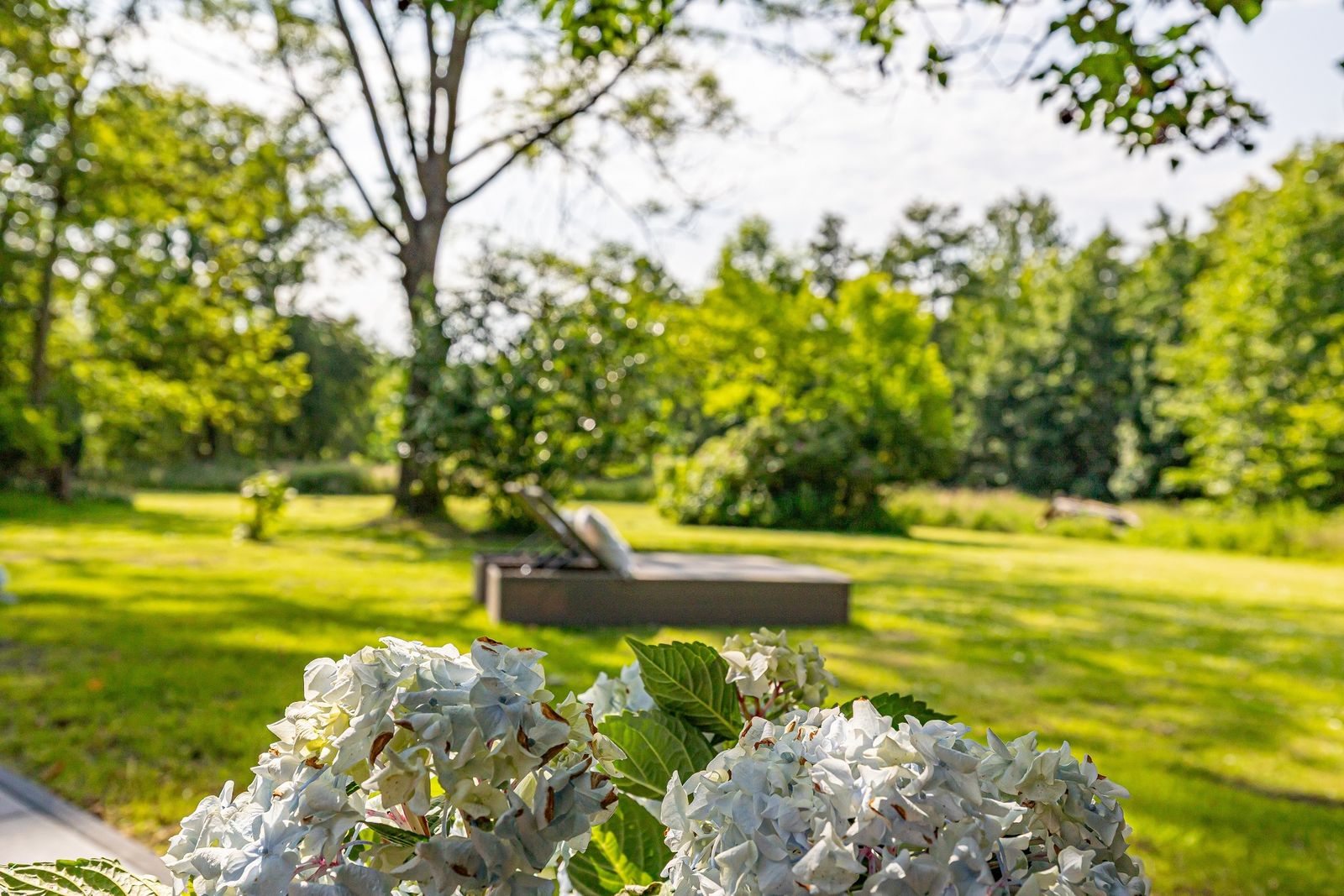 Seepferdchen image 37 - Gut Oehe