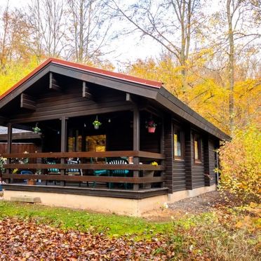 Außen Sommer 1 - Hauptbild, Hütte Waldeck, Bad Arolsen, Hessisches Bergland, Hessen, Deutschland