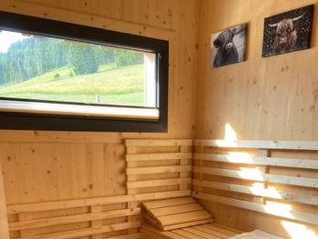 Tauernchalet Wellness I - Steiermark - Österreich