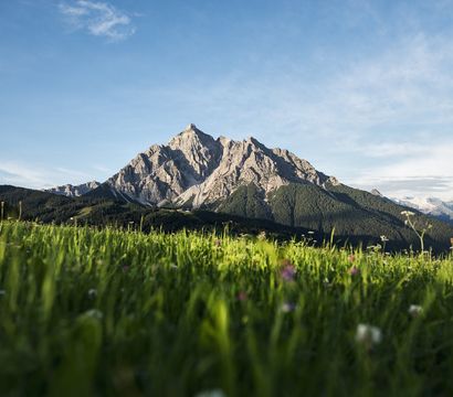 Vitalhotel Edelweiss: Alpine rose hiking weeks