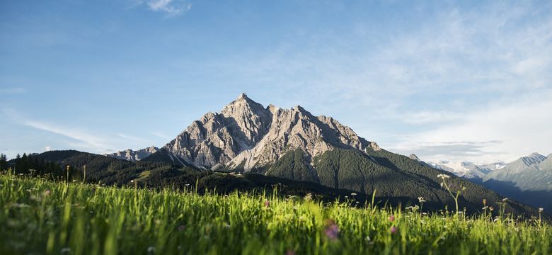 Vitalhotel Edelweiss: Alpine rose hiking weeks