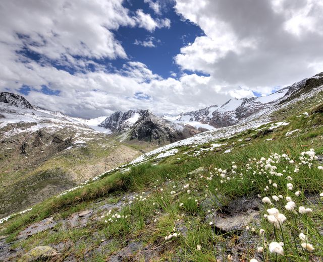 Summer retreat 4 nights image 1 - Ski | Golf | Wellness  Hotel Riml ****S