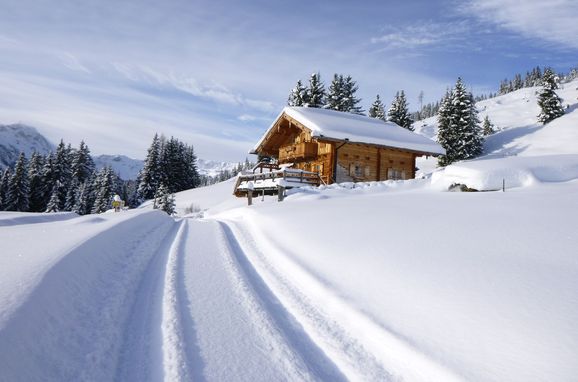 View in winter, Oberwalleggalm, Hinterglemm, Saalbach - Hinterglemm, Salzburg, Austria