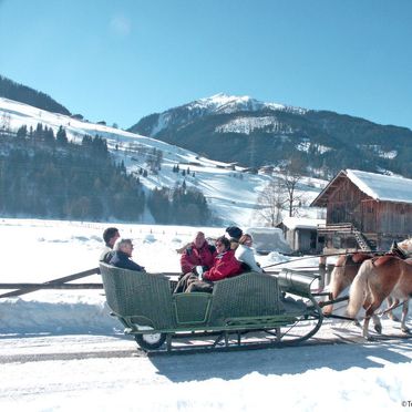 Innen Winter 33, Chalet Nussbaum, Kaprun, Pinzgau, Salzburg, Österreich