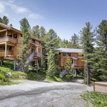 Außen Winter 1, Chalet Zirbenwald V, Turracher Höhe, Steiermark, Steiermark, Österreich