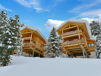 Chalet Zirbenwald V - Steiermark - Österreich