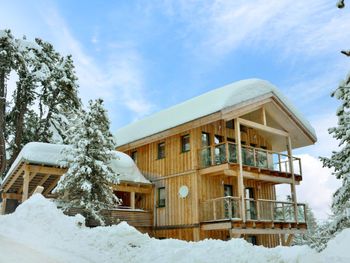 Chalet Zirbenwald V - Steiermark - Österreich