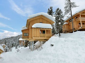 Chalet Zirbenwald II - Styria  - Austria