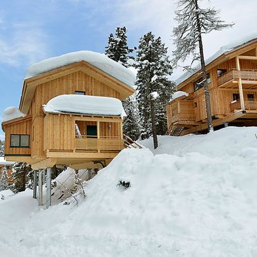 Outside Winter 13, Chalet Zirbenwald II, Turracher Höhe, Steiermark, Styria , Austria