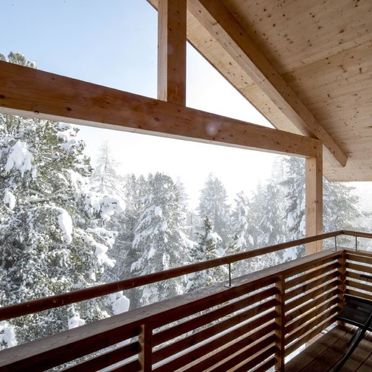 Outside Winter 13, Chalet Zirbenwald III, Turracher Höhe, Steiermark, Styria , Austria