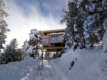 Chalet Zirbenwald I - Steiermark - Österreich