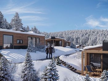 Chalet Alpline - Carinthia  - Austria