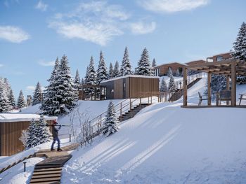 Chalet Alpline - Austria