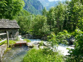 Rustico La Dimora - Tessin - Schweiz