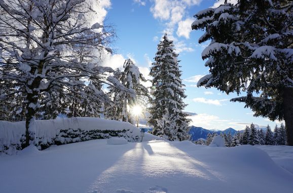 Winter, Waldheimat, Fresach, Kärnten, Kärnten, Österreich