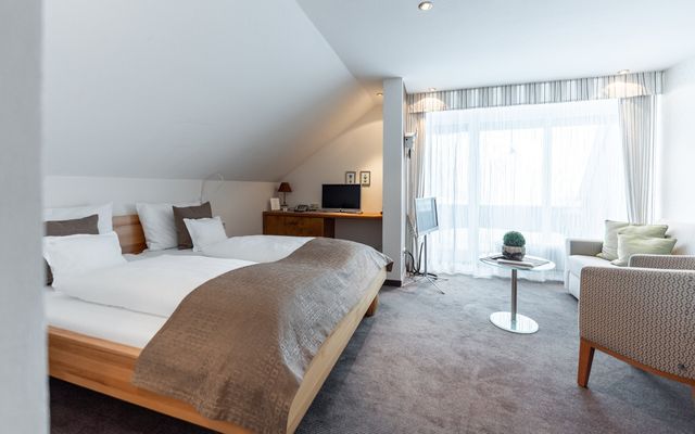 Unterkunft Zimmer/Appartement/Chalet: Mittel - Urig - Doppelzimmer