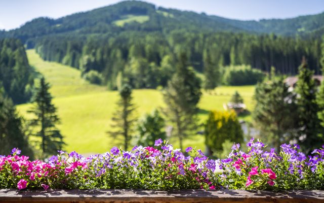 Hotelbalkon mit Blumen Bergblick
