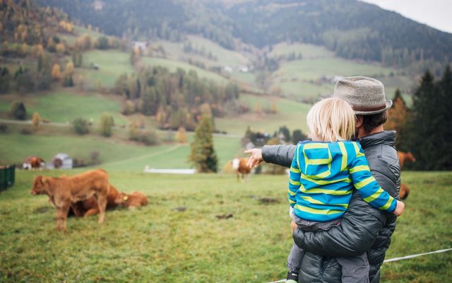 Single mit Kind zum Familienpreis - Sommer image 3 - Familotel Kärnten Der Kirchheimerhof - Superior Refugium