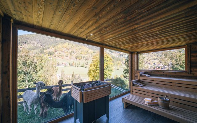 Familotel Kärnten Der Kirchheimerhof - Superior Refugium: Sauna "trifft" Tage mit Mehrwert