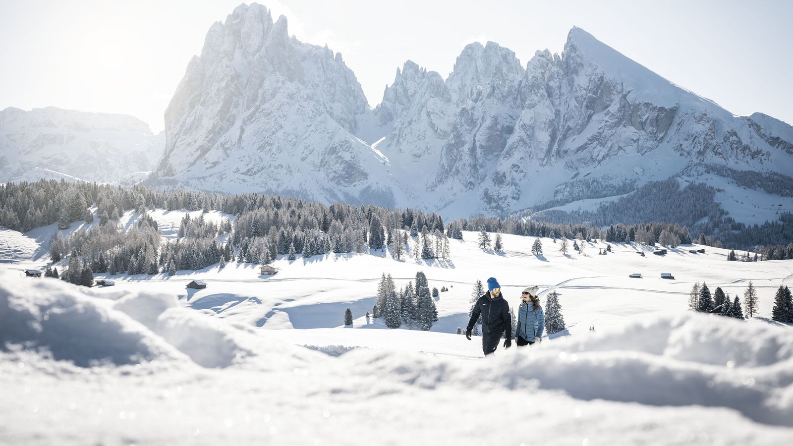 image #8 - ADLER Spa Resort DOLOMITI