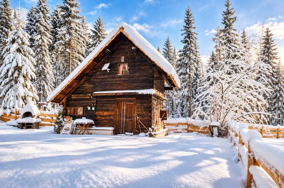 , Waldbienenhütte, Diex, Kärnten, Carinthia , Austria