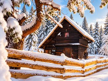 Waldbienenhütte - Kärnten - Österreich