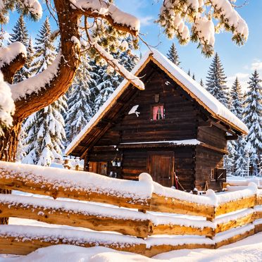, Waldbienenhütte, Diex, Kärnten, Carinthia , Austria
