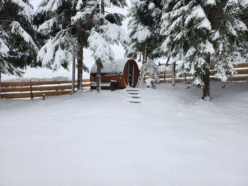 Waldbienenhütte - Kärnten - Österreich