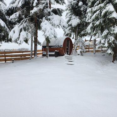 Winter, Waldbienenhütte, Diex, Kärnten, Carinthia , Austria