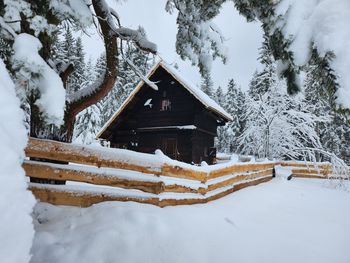 Waldbienenhütte - Carinthia  - Austria