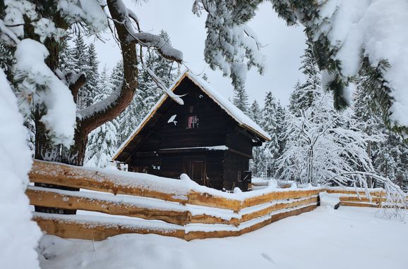 Winter, Waldbienenhütte, Diex, Kärnten, Carinthia , Austria