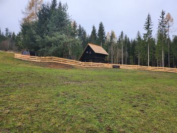 Waldbienenhütte - Carinthia  - Austria