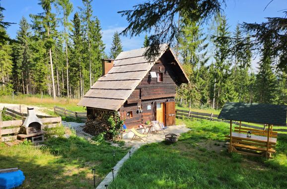 Sommer, Waldbienenhütte, Diex, Kärnten, Kärnten, Österreich