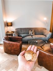 Jahreswechsel in den Schloßappartements 2026