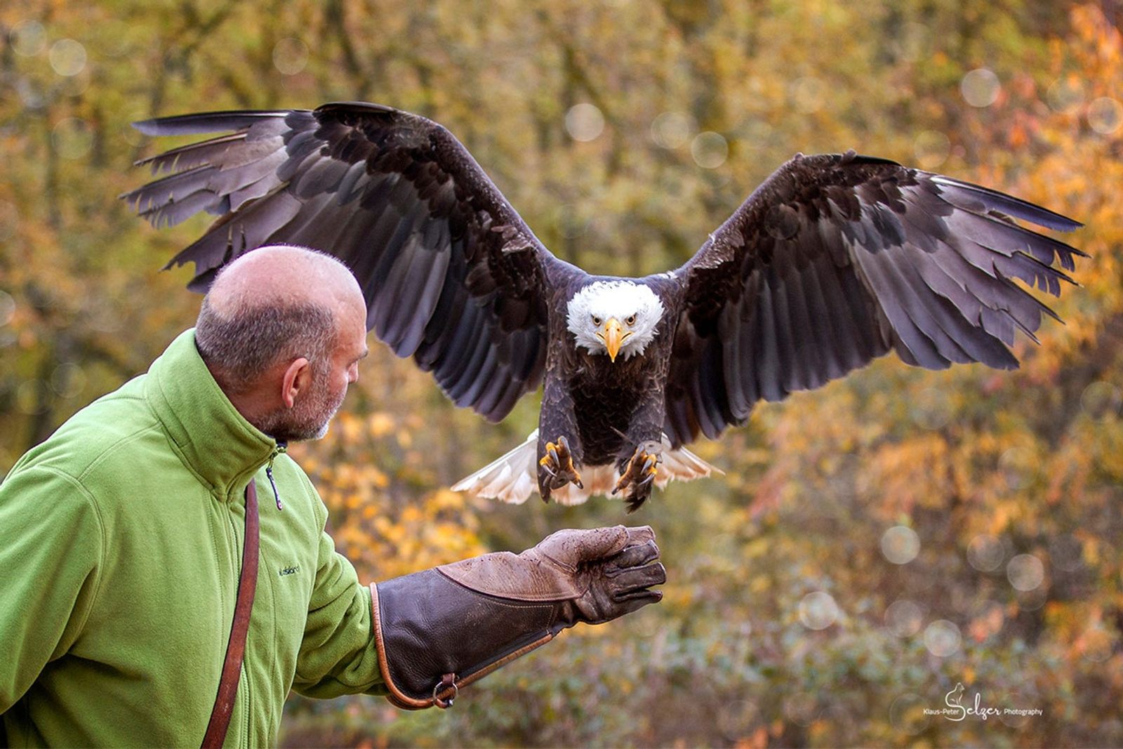Kinder übernachten kostenfrei image 10 - Buchnas Landhotel Saarschleife