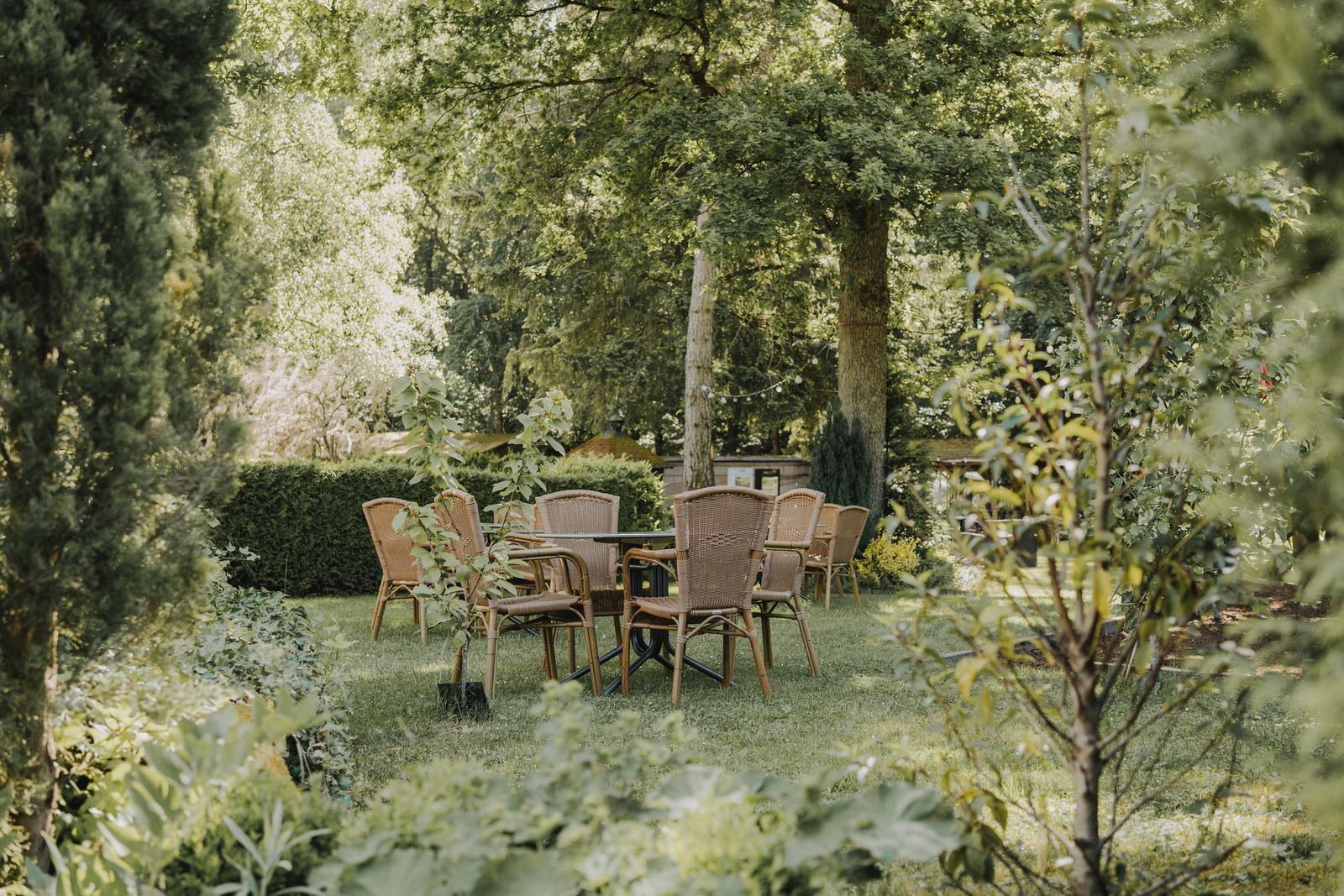 Sommer. Sonne. Rosé image 8 - Buchnas Landhotel Saarschleife