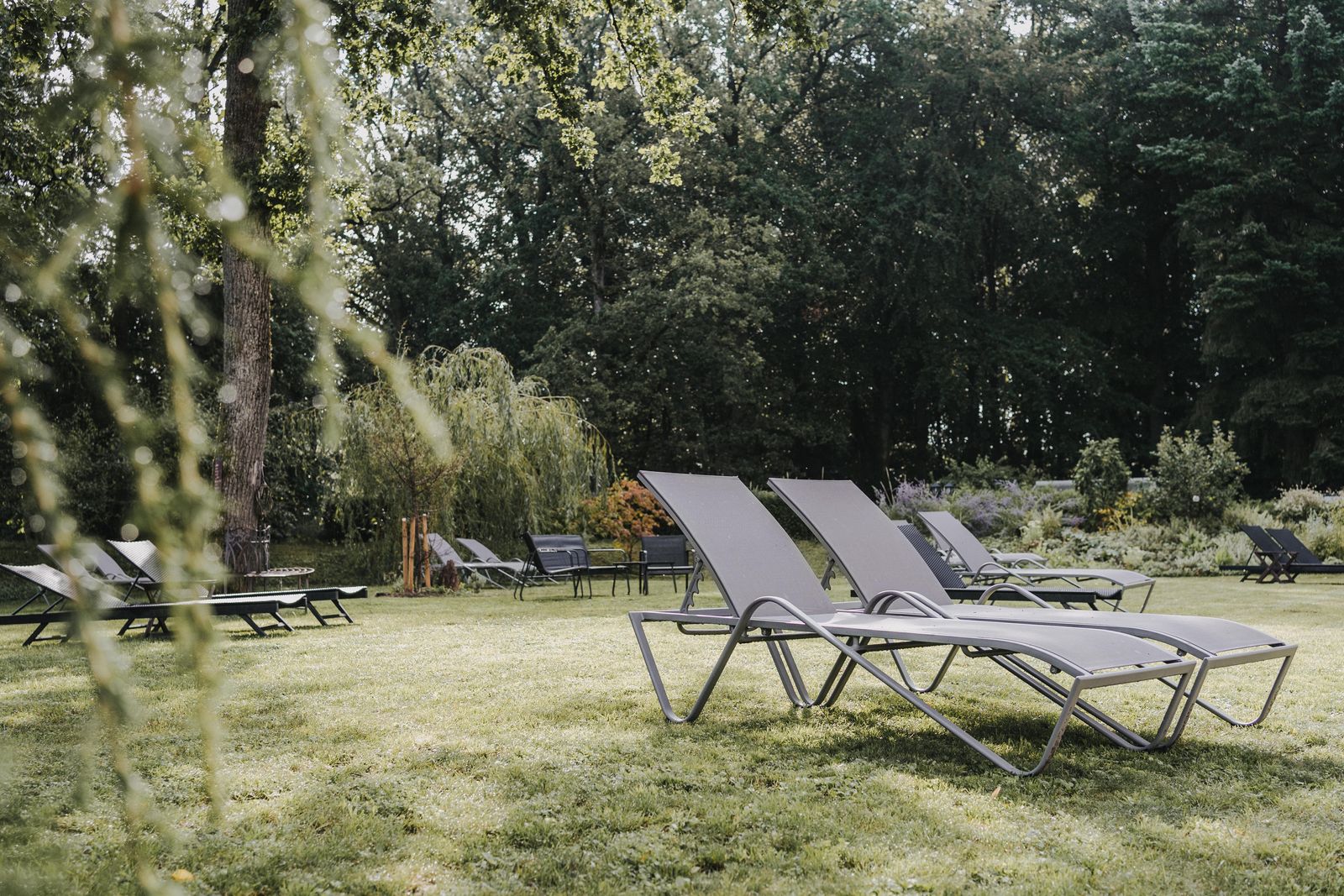 Sommer Deal image 4 - Buchnas Landhotel Saarschleife