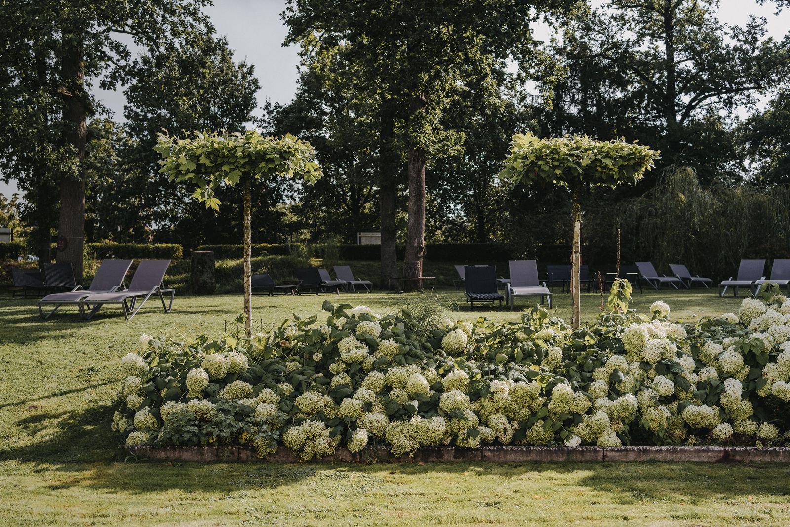 Sommer. Sonne. Rosé image 6 - Buchnas Landhotel Saarschleife