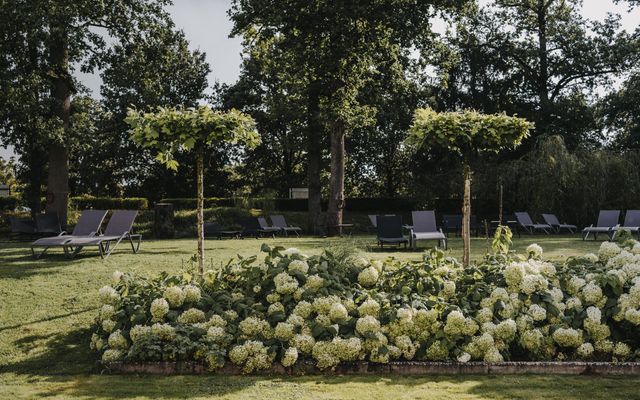 Sommer. Sonne. Rosé image 5 - Buchnas Landhotel Saarschleife