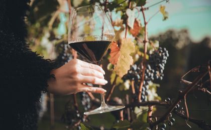 Scheiblhofer THE RESORT in Andau, Burgenland, Österreich - Bild #2