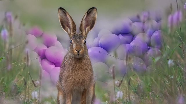 Osterangebot: Frühling & Genuss