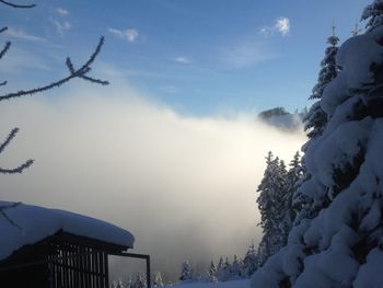 Fuxluckn Hüttn - Carinthia  - Austria