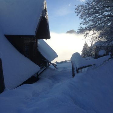 Winter, Fuxluckn Hüttn, Bad St. Leonhard, Kärnten, Carinthia , Austria