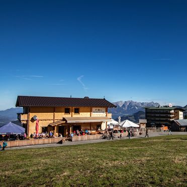 Sommer , Markbachjochhütte, Niederau, Tirol, Österreich