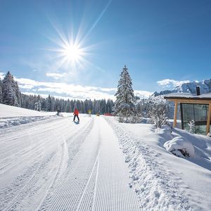 Moseralm Dolomiti Spa Resort-image-9