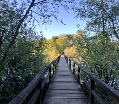 Hotel Heidegrund: Naturverliebt