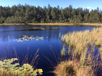 Hütte im Moor - Bayern - Deutschland