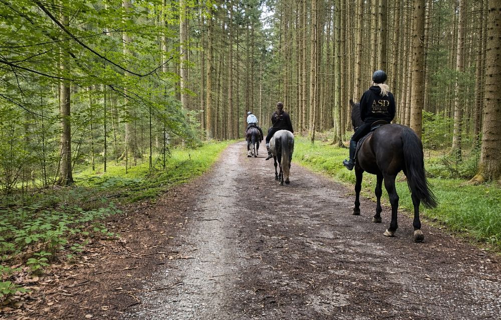 Ponypark