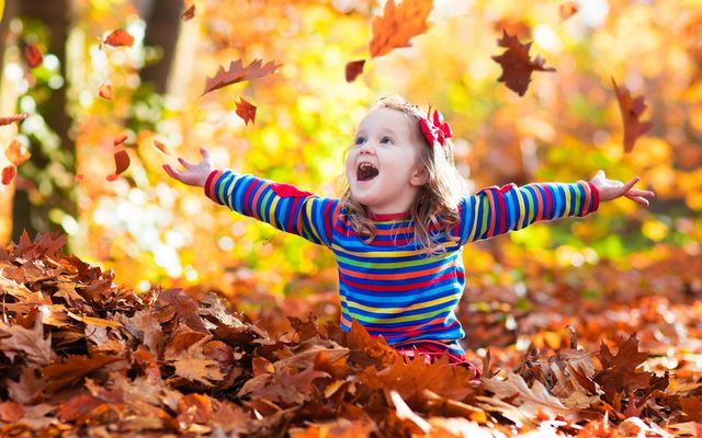 : Herbst Special - Der Böhmerwald