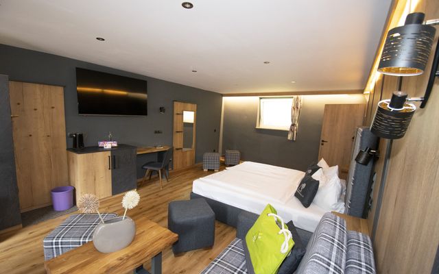 Kater Flo image 6 - Familotel Bayerischer Wald Der Böhmerwald